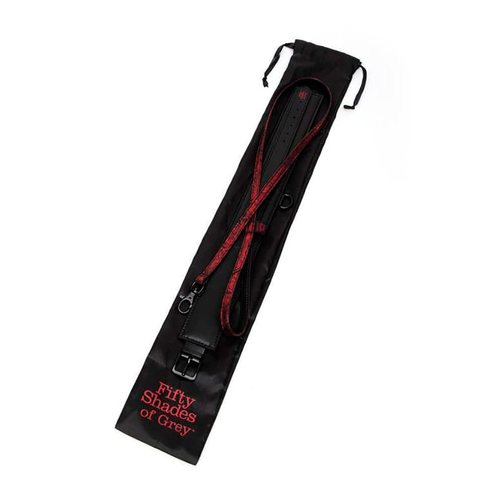 Collier et Laisse Amovible Sweet Anticipation